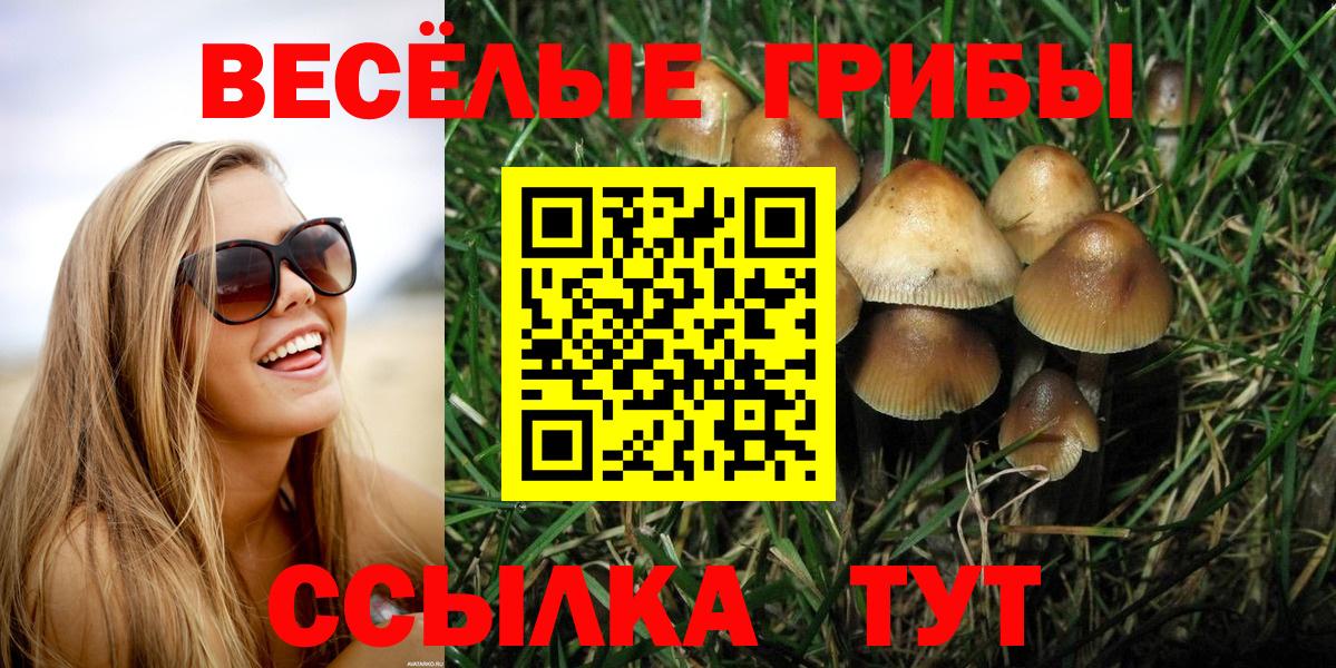 Псилоцибиновые грибы мицелий  Псилоцибиновые грибы GOLDEN TEACHER  Вход с VPN  Добрянка 