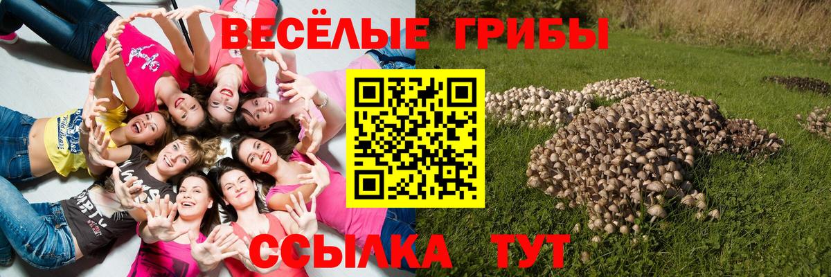 Галлюциногенные грибы Magic Shrooms Добрянка